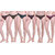 Dollar Missy Pack Of 6  Multicolor Printed Outer Elastic Women'S Bikini
