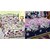 Beautiful floral 3d combo cotton 2 double bedsheet with 4 pillow cover(3dbs089)