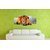 Asmi Collections Beautiful Lion Wall Paintings Stickers