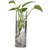 Magideal Cylinder Clear Glass Wall Hanging Vase Bottle for Plant Flower Decorations