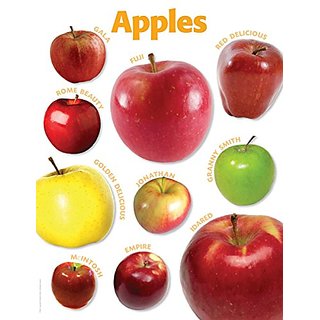 Buy Scholastic TF2447 Apples Photo Chart Online @ ₹2127 from ShopClues
