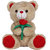 Ultra Brown Teddy Bear Soft Toy with Red Rose Flower - 32cm