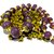 Beadworks Crystal Beaded Necklace for All Occasion in Dark Purple Colour