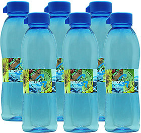 GPET Fridge Water Bottle Ivy 1 Ltr Blue  Set of 6