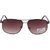 Joe Black JB-605-C3 Brown Rectangular Sunglasses