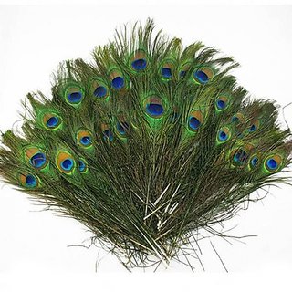 buy mor pankh set of 10 pcs get 67 buy mor pankh set of 10 pcs get 67