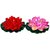 6th Dimensions Decorative Water Floating Lotus Flowers Set of 5 (Multi Colour)