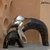 Artlivo Parent & Child Elephants ST003