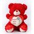 Beautiful Birthday Red teddy With Heart