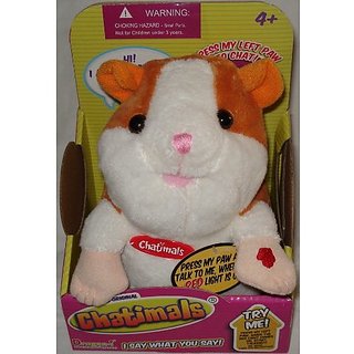 my talking hamster