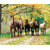 IMFPA Grazing Horses Painting