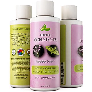 Buy Natural Conditioner For Dry Hair With Invigorating Mint