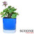 Schone FRP Blue Planter Pot Small (14.5 cms)