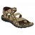 Clymb NS-3 Brown Sandal For Men In Various Size