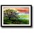 Lush Green farm with Cows framed wall painting