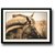 Brown Horse Framed Wall Painting