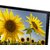 Suntek Series 7 32 inches (81cm) Standard HD Ready LED TV (With Samsung Panel Inside)
