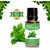Zaai Naturals Pure Basil Essential Oil for Bath, Body Aroma Diffuser - 15 ML