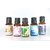 AuraDecor 100 Pure Undiluted Aromatheraphy Aroma Oil, Set of 5 (15 ml Each, Lavender, Sandalwood, Jasmine, Rose, Lemongrass)