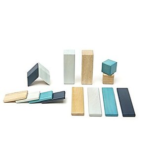 14 piece tegu magnetic wooden block set