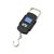 BRANDED24X7 Pocket Portable Hanging Electronic Digital LCD Weighing Scale