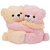 R.K. Gift  Cute Pink and Cream Bear Couple Soft Toy