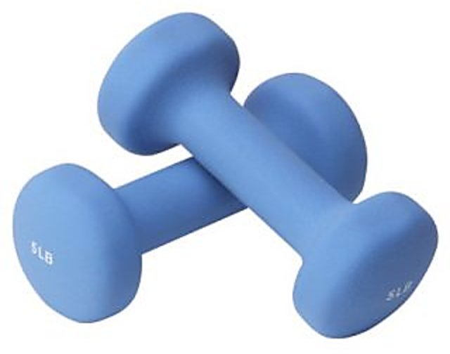 Dumbbells shopclues sale