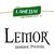 Lemor Mint Flavoured Green Tea Bags- Pack of 3  (10 Tea Bags Each)