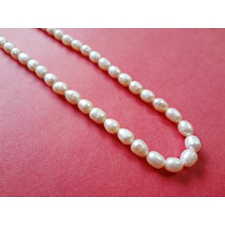 hyderabadi pearl set original set 12 