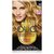 Garnier Olia Oil Powered Permanent Hair Color, 8.0 Medium Blonde (Packaging May Vary)
