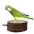 Magideal Dia. 3.54-3.94 Inch Round Wooden Parrot Bird Cages Perch Stand Set (500 Gms)