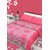 IWS Luxury Cotton Printed Double Bedsheet With 2 Pillow Covers