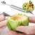 Evershine Fruit Carving Knife Fruit Slicer 2 in 1 Multifunction Home Kitchen Tools For DIY Fruit Salads,Desserts,Cake