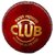 Port Genuine Leather Red Cricket Ball