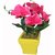 Yash Pink, Yellow, Green Daisy Artificial Flower with Pot  (9 inch, Pack of 1)