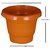 4 inch brown Colored Plastic Small Nursery Pots Planters - (Height/Depth - 10 cms/4 Inches) (Pack of 6)
