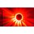 Tuzech Auto Color Changing Rotating 48 LED Sunflower Stage Light Wall Mount Lamp