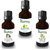 Combo Set of Coconut Oil, Olive Carrier Oil and lemon Essential Oil (Each 15ml) 100% Pure Natural & Undiluted Oil