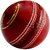 cricket ball in leather