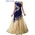 Styloway Designer Party Wear Gown Blue Color Being