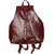 Carrolite Maroon Non Leather Premium Back Pack Bag.