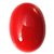 Best quality 12.5 ratti Red Coral moonga by lab certified