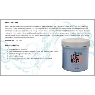Berina Hair Spa Hydrolyzed Protein Treatment Nourishing Cream Bath Dry  Dameged for sale online  eBay