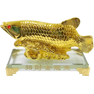 Buy Starstell Fengshui Arowana Fish on (Glass Slab) Online ...