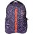 American Tourister Purple Polyester (Laptop Backpack) Bag