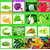 46 Varieties 1700 Seeds Of High Quality OrganicHybrid Fruits  Vegetables Seed