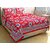 Volvo Cotton Printed Double Bedsheet with 2 Pillow Covers.