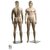 Adam's Mannequins Male Realistic Mannequin MR06