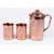 INDIAN COPPER WATER 2 GLASSES  JUG HEALTH MINERALS WATER HEALTH NERVOUS SYSTEM