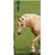 FUSON Designer Back Case Cover for Sony Xperia XR (White Horse In The Park On The Green Grass)